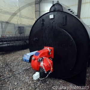 Котел паровой газовый